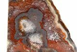 Free-Standing Polished Crazy Lace Agate - Mexico #373382-1